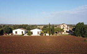 Orecchie Di Lepre